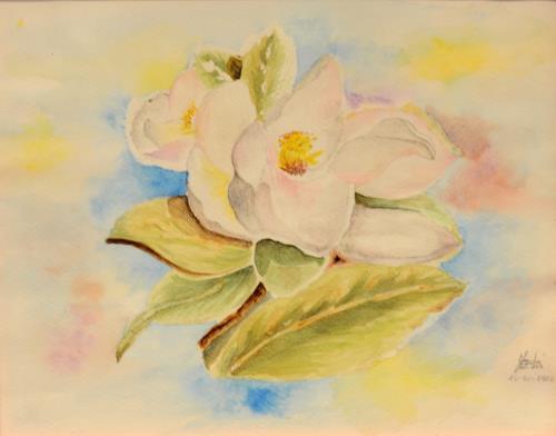 Fiori di magnolia